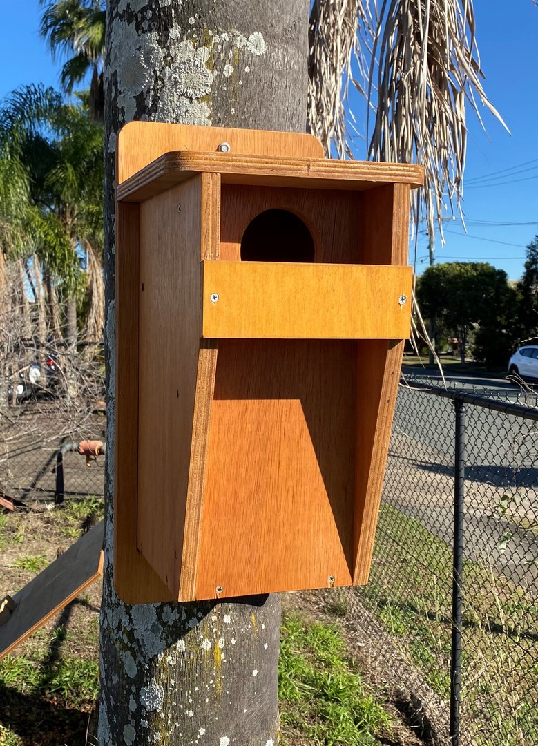 Rosella, Crimson - Nest Boxes Australia