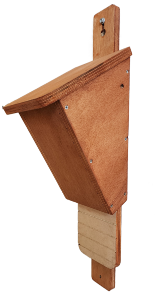 Microbat (Wedge Shape)